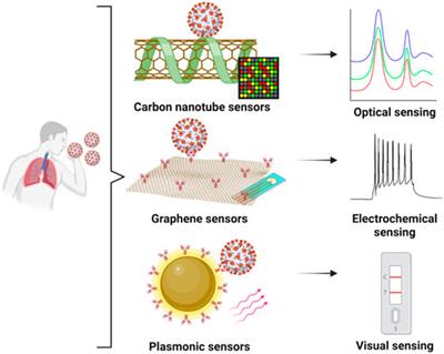 Graphene, Carbon Nanotube and Plasmonic Nanosensors for Detection of Viral Pathogens: Opportunities for Rapid Testing in Pandemics like COVID-19